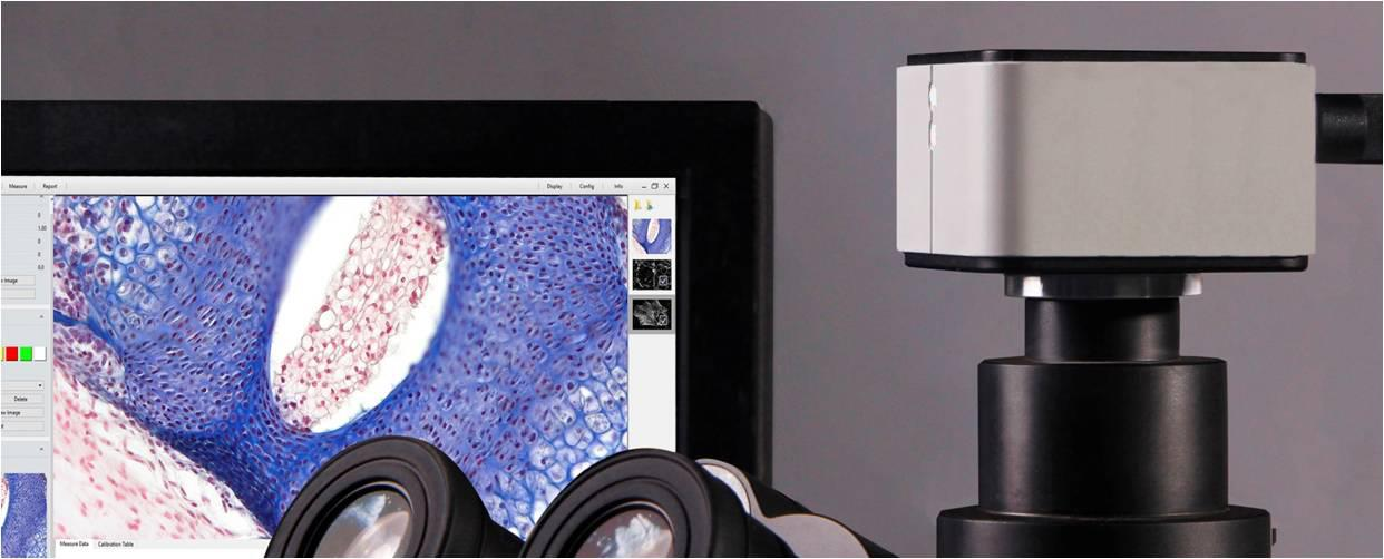 USB20DPX具有2000万像素Exmor TM传感器的显微镜相机