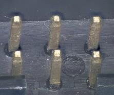 USB 5 DPX 具有500万像素EXMOR TM传感器的显微镜相机