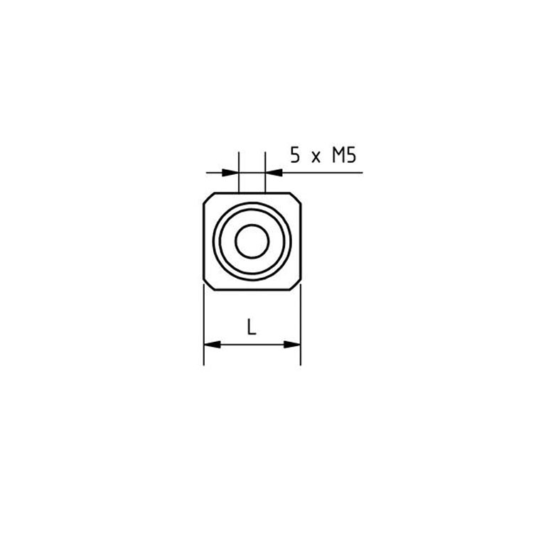 M5立方块封闭螺WM5-15-TI-SENK